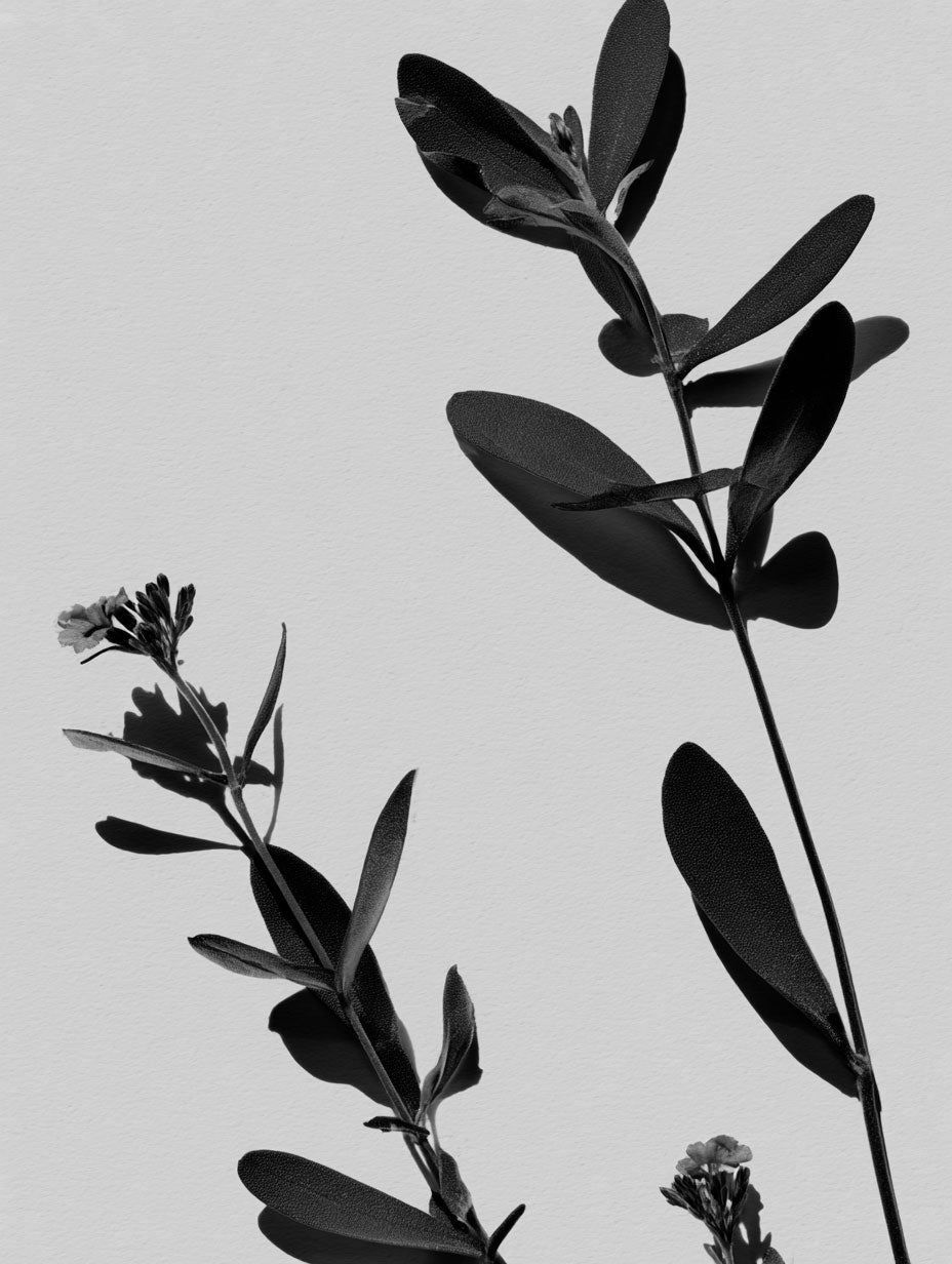Retinol Alternative Skincare