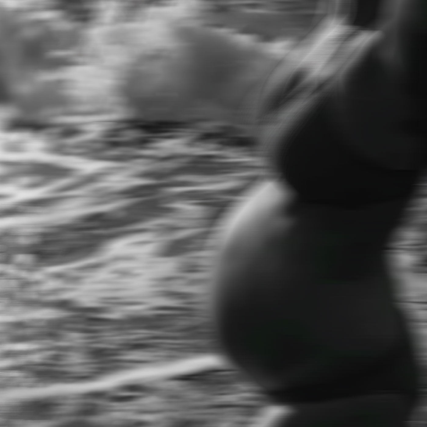 Pregnancy & Postpartum